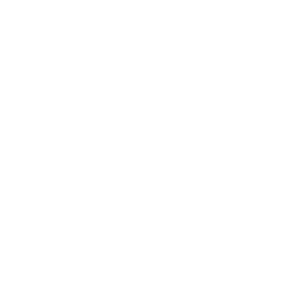 iconosBlancos-03