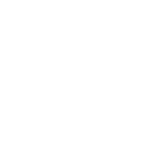 iconosBlancos-04